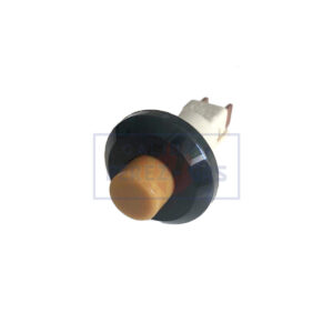 Longvie antiguo beige