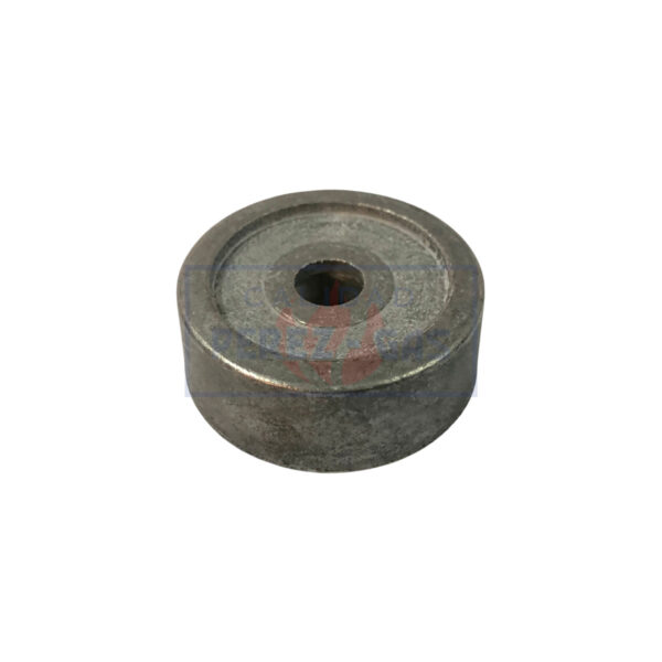 Longvie redondo chico