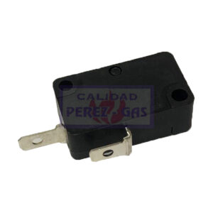 Microswitch encendido