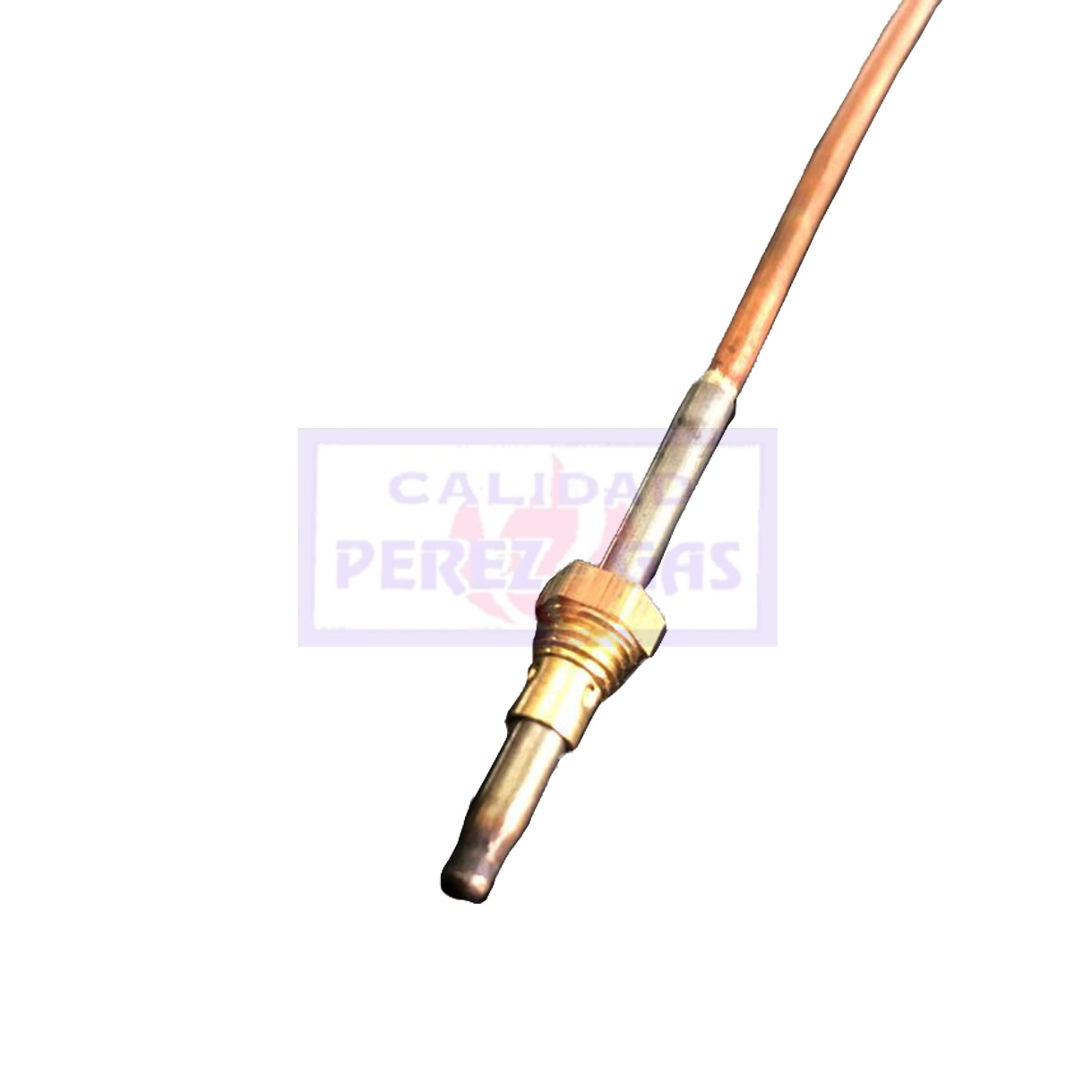 Cuerpo Señorial x 400 mm