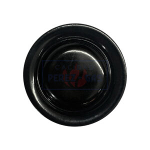 San Patricio chica (Florencia)