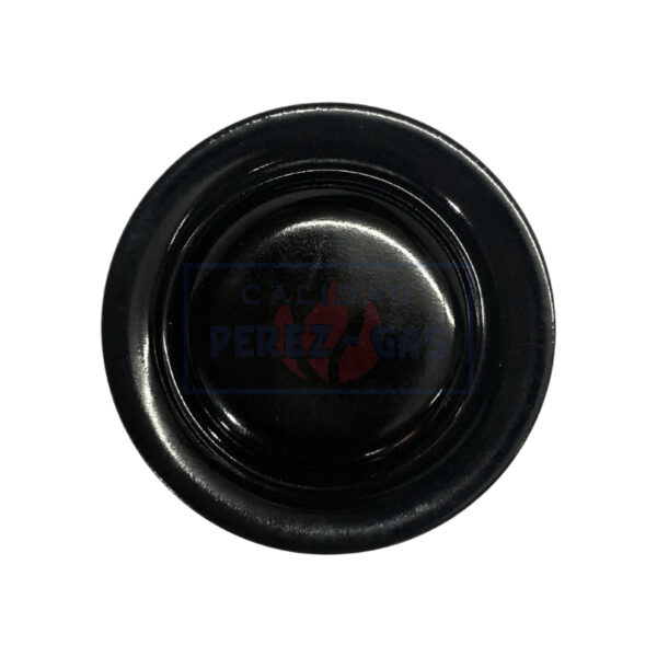 San Patricio chica (Florencia)