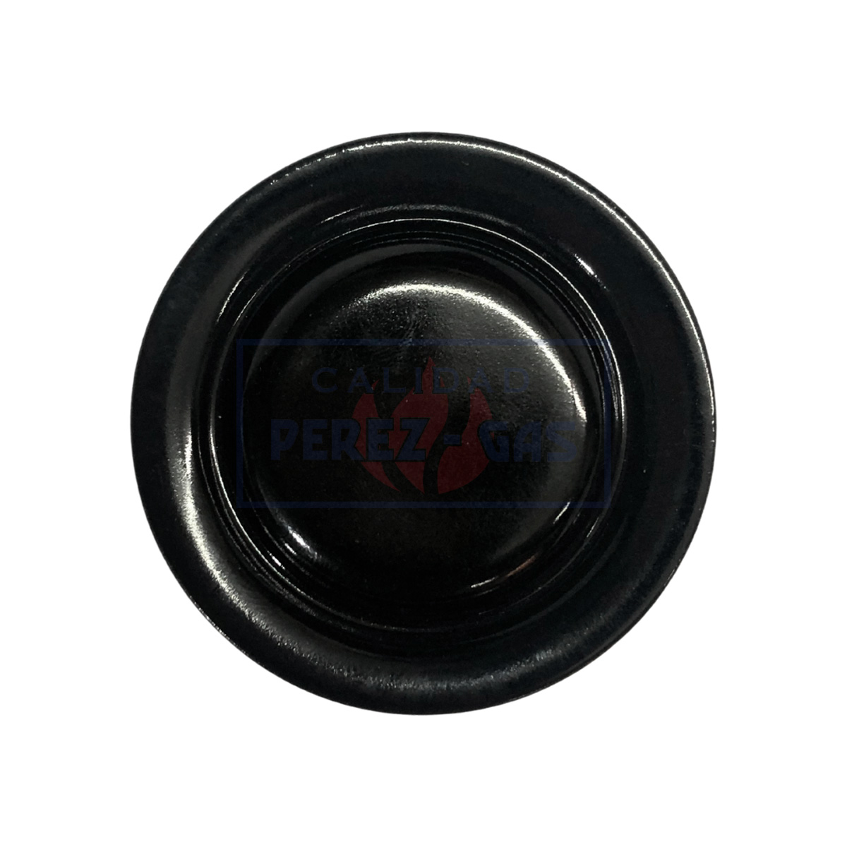 San Patricio chica (Florencia)